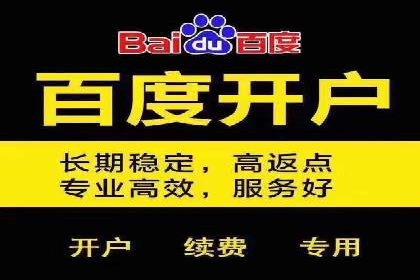 百度竞价排名服务：成功案例解析与优化策略
